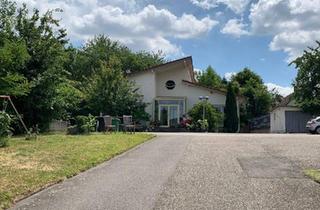 Mehrfamilienhaus kaufen in 76870 Kandel, Kandel - Zwei Grundstücke mit Mehrfamilienhaus und Freifläche