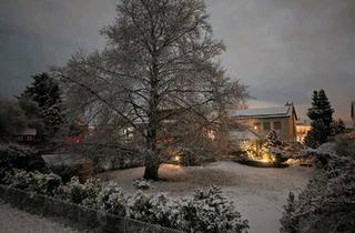 Einfamilienhaus kaufen in 68623 Lampertheim, Lampertheim - Toplage direkt an der Rheinpromenade