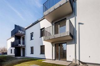 Wohnung kaufen in Lauffener Straße 5-9, 74336 Brackenheim, Exklusive 4-Zimmer-Wohnung mit besonderem Wohngefühl