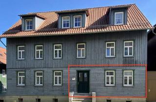 Wohnung mieten in 38875 Elbingerode, Die besonders attraktive 2-Raum Wohnung