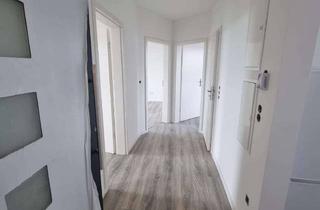 Wohnung mieten in Heidelberger Strasse 102, 64285 Darmstadt, Saniertes 3 Zimmerwohnung mit Küche - WG Tauglich