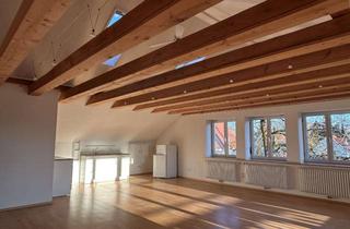 Wohnung mieten in 86668 Karlshuld, Großzügige Dachgeschosswohnung mit Charme in ruhiger Lage von Karlshuld