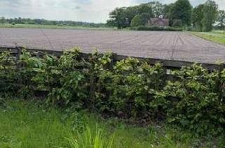 Wohnung mieten in 49356 Diepholz, Wohnen im Grünen: Ruhige Wohnung auf zwei Etagen