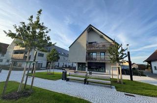 Wohnung mieten in 87776 Sontheim, Großzügige 3-Zimmer-Neubauwohnung zu vermieten