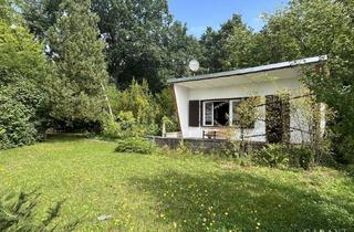 Haus kaufen in 04680 Zschadraß, Idyllisches Waldgrundstück mit Bungalow und Finnhütte nahe Grimma