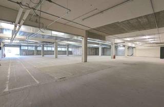 Gewerbeimmobilie mieten in 86972 Altenstadt, WARMHALLEN - ATTRAKTIVE FENSTERFRONT, INKL. LADERAMPEN & FREIFLÄCHE, VIELSEITIG NUTZBAR