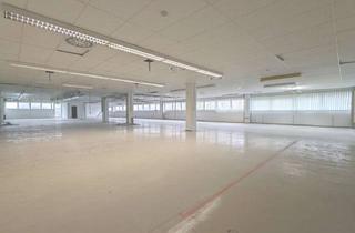 Geschäftslokal mieten in 86972 Altenstadt, HELLE HALLENFLÄCHEN, VIELSEITIG NUTZBAR, LAGER / FITNESSSTUDIO / LADEN & VERKAUF / PRODUKTION / BÜRO