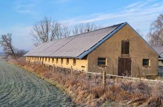 Gewerbeimmobilie mieten in 16515 Oranienburg, Gut angebundene Lagerhalle im Norden von Berlin