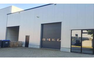 Gewerbeimmobilie kaufen in 48455 Bad Bentheim, Moderne Gewerbehalle mit Showroom in Top-Lage von Gildehaus – 3106 m² – Provisionsfrei