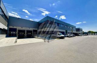 Büro zu mieten in 64546 Mörfelden-Walldorf, KEINE PROVISION ✓ RAMPE + EBEN ✓ Lager (1.250 m²) & Büro (240 m²)