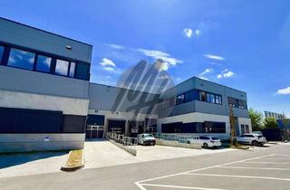 Büro zu mieten in 65479 Raunheim, KEINE PROVISION ✓ RAMPE + EBEN ✓ Lager (1.250 m²) & Büro (240 m²)