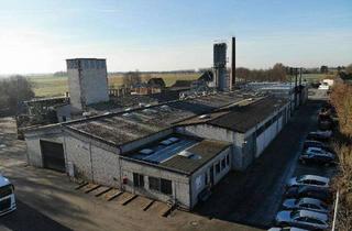 Gewerbeimmobilie kaufen in 59597 Erwitte, Hallenkomplex mit Büro und Trockenkammern in Erwitte-Schmerlecke (Ideal für Holzverarbeitung)