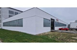 Gewerbeimmobilie mieten in Wörthstraße 40, 89129 Langenau, Lagerhalle bis 2000 qm zu vermieten