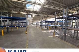 Gewerbeimmobilie mieten in 33378 Rheda-Wiedenbrück, Ideale Voraussetzung für Ihr Unternehmen! Hochwertige Gewerbehalle in Wiedenbrück-Lintel