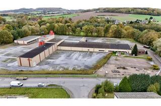 Gewerbeimmobilie kaufen in 32602 Vlotho, Großzügiges Industrieareal mit Entwicklungspotenzial- auf ca. 40.000qm Fläche