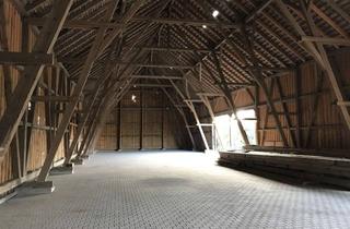 Gewerbeimmobilie mieten in 94315 Alburg, Vielseitige Lagerhalle in Straubing / zentral gelegen / provisionsfrei