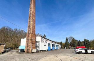 Gewerbeimmobilie kaufen in 01796 Dohma, Halle/ KFZ-Werkstatt nahe Pirna unweit der Autobahn zum Kauf