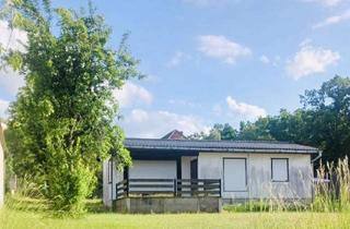 Grundstück zu kaufen in 01445 Radebeul, Baugrundstück am Waldrand in Radebeul West