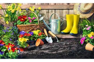 Grundstück zu kaufen in 61479 Glashütten, Baugrundstück mit Altbestand in beliebter Blicklage