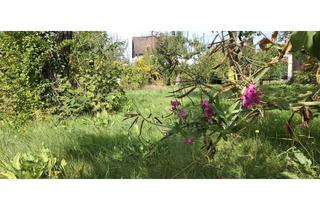 Grundstück zu kaufen in 10623 Berlin, Traumhaus in Kaulsdorf bauen – Grundstück