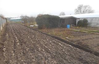 Grundstück zu kaufen in Fröschauweg 25, 68799 Reilingen, Schränkler