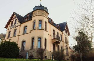 Gewerbeimmobilie kaufen in 74821 Mosbach, Absolutes Unikat- gewerblich genutzte Villa in historischer Bauweise