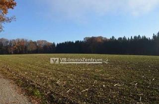 Immobilie kaufen in 86949 Windach, gut anfahrbare Ackerfläche