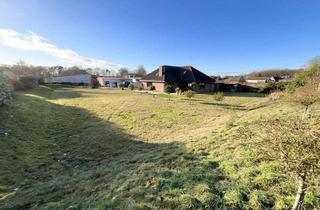 Gewerbeimmobilie kaufen in 48432 Rheine, Grundstück 2.464 m², mit einem kernsanierten Bungalow