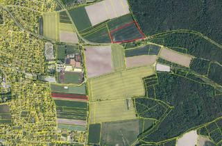 Gewerbeimmobilie kaufen in 91456 Diespeck, Zwei Ackerflächen mit insgesamt rd. 2,8 ha im Außenbereich von Diespeck *PROVISIONSFREI*