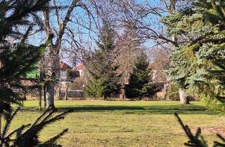 Grundstück zu kaufen in 04821 Brandis, In Brandis bauen: innerstädtisch, weitläufig, ruhig auf über 1.000 m²