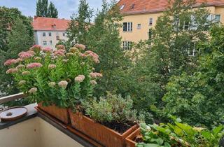 Wohnung kaufen in Vineta Str. 52, 13189 Pankow, Gutgeschnittenes Anlageobjekt im Pankow Kissingenviertel