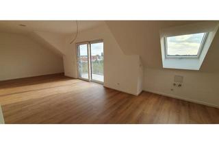 Wohnung mieten in Außerdorf 51a, 76764 Rheinzabern, Neuwertige 2-Zimmer DG-Wohnung (Bj. 2023) mit Traumblick & KfW-55-Standard