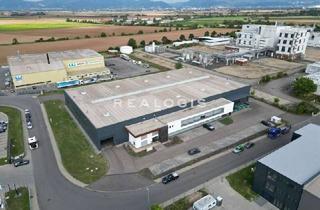Gewerbeimmobilie mieten in 68723 Plankstadt, Im Alleinauftrag: Lager-/ Produktion - 8,00 m UKB - Anbindung an die A6