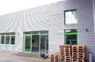 Büro zu mieten in 21502 Geesthacht, Gewerberäume (Büro-/Verkaufs-/Lagerräume)