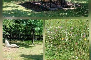 Wohnung kaufen in 94518 Spiegelau, Spiegelau - Eigentumswohnung auf dem Land in Niederbayern (Bayerischer Wald )