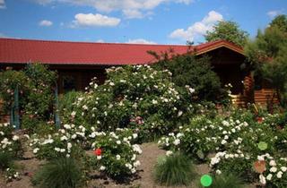 Haus kaufen in 39619 Arendsee, Arendsee (Altmark) - Landhaus 492 qm