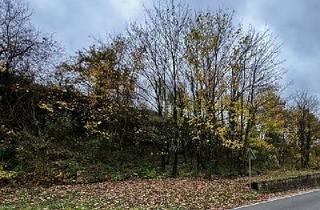 Grundstück zu kaufen in 56859 Bullay, Bullay - 531QM EXKLUSIVES MOSELGOLDSTÜCK IN BESTLAGE