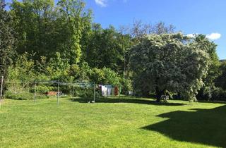 Wohnung mieten in Am Blauen Stein 24, 38302 Wolfenbüttel, Charmante 4 Zimmer-Wohnung mit traumhaften Garten!