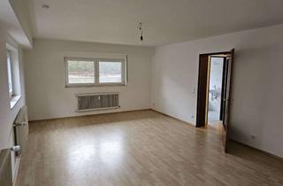 Wohnung mieten in 69242 Mühlhausen, Renovierte, großzügige 2-Zimmer-Wohnung im UG in Mühlhausen-Rettigheim