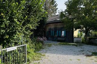 Wohnung mieten in 82347 Bernried, Schöne 3-Zimmer Wohnung mit großem Garten