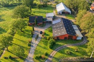 Einfamilienhaus kaufen in 21737 Wischhafen, 9 Hektar Land inklusive – Einfamilienhaus mit Stall, Halle und Nebengebäuden