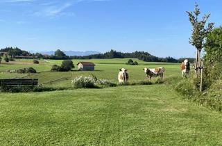 Haus mieten in 83623 Dietramszell, Wunderschönes Einfamilienhaus mit BERGBLICK