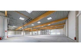 Büro zu mieten in 77933 Lahr, Lager und Büros in ein Gebäude