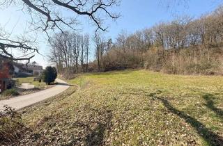 Grundstück zu kaufen in 91180 Heideck, Heideck/Schlossberg: Ein Grundstück mit Weitblick – im wahrsten Sinne des Wortes