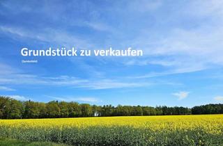 Grundstück zu kaufen in 76891 Busenberg, 571 m² Bauplatz in Busenberg – gut geschnitten, voll erschlossen und direkt bebaubar