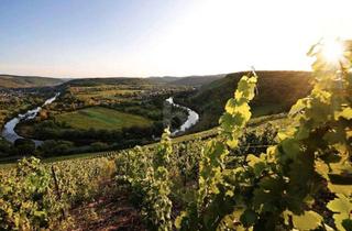 Grundstück zu kaufen in 54459 Wiltingen, EXKLUSIVE UND SONNIGE LAGE MIT WEINBERG-AUSSICHT