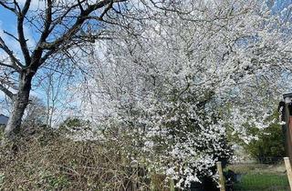 Grundstück zu kaufen in 25548 Kellinghusen, DIE LETZTEN BEIDEN HIER IM NEUBAUGEBIET