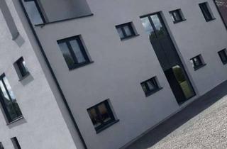 Wohnung mieten in Carl-Schickhardt-Straße 35, 72224 Ebhausen, Moderne 2,5-Zimmer-Neubauwohnung mit 20 m² Terrasse – KfW-55, Fußbodenheizung & Einbauküche inklusiv