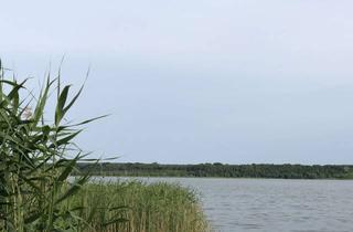 Wohnung mieten in 15741 Bestensee, 2 ZKB, ganz oben, 1. Reihe, mit Balkon und Seeblick