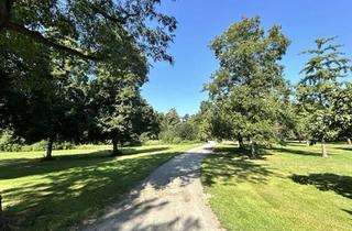 Wohnung mieten in 12169 Steglitz, Schöne Dachgeschosswohnung, Balkon, 2 gr. Zimmer + Wohnküche